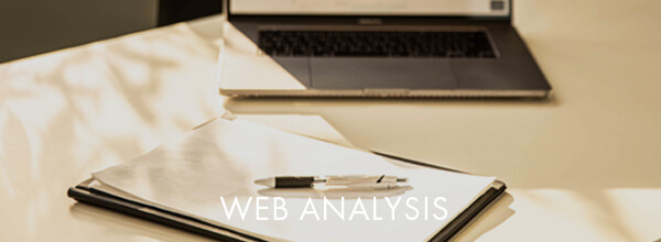 WEB ANALYSIS WEB解析