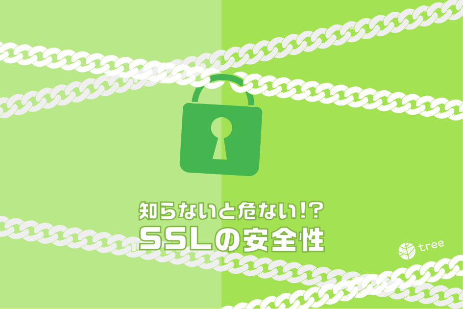 mac osx ssl not secure 2017