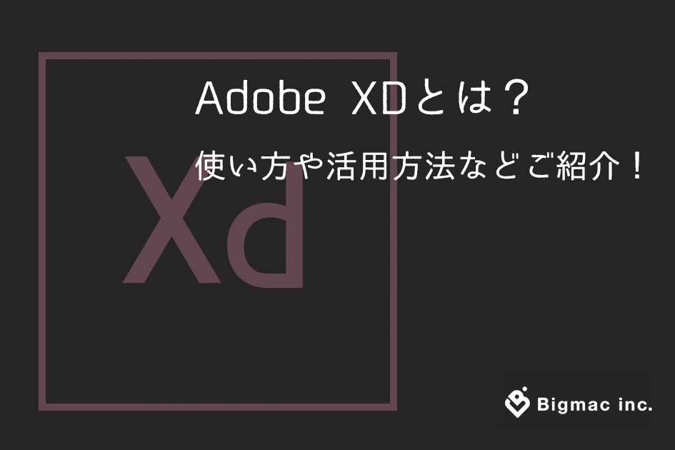 Adobe XDとは？使い方や活用方法などご紹介！